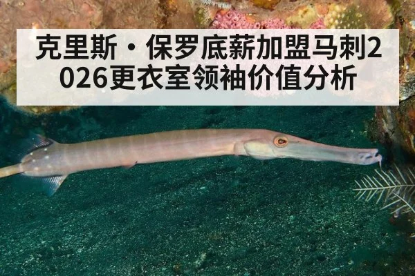 克里斯·保罗底薪加盟马刺2026更衣室领袖价值分析