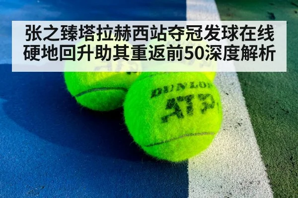 张之臻塔拉赫西站夺冠发球在线 硬地回升助其重返前50深度解析