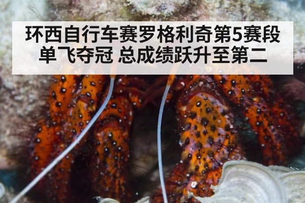 环西自行车赛罗格利奇第5赛段单飞夺冠 总成绩跃升至第二
